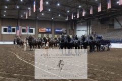 Untitled-0295