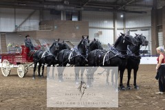 Untitled-0349