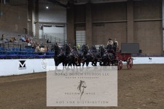 Untitled-0379