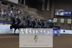 Untitled-0044-10