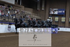 Untitled-0046-10