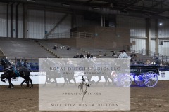 Untitled-0051-10
