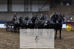 Untitled-0054-10