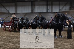 Untitled-0056-10