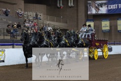 Untitled-0077-8