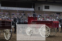Untitled-0081-7