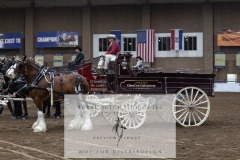 Untitled-0083-7
