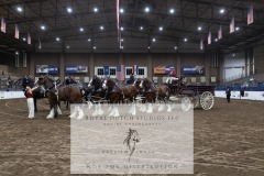 Untitled-0085-7