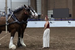 Untitled-0086-7