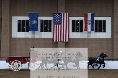 Untitled-0087-7