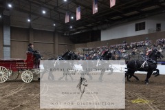 Untitled-0091-7
