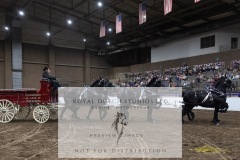 Untitled-0092-7