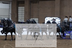 Untitled-0113-7