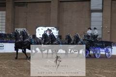 Untitled-0115-7