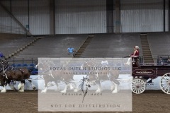 Untitled-0121-7