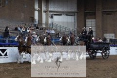Untitled-0148-6