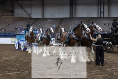 Untitled-0155-5