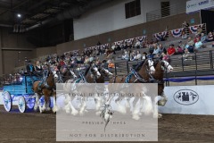 Untitled-0159-4
