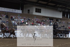 Untitled-0178-4