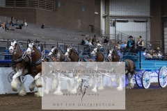 Untitled-0194-3