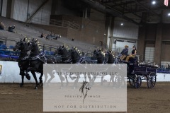 Untitled-0203-4