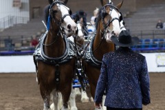 Untitled-0212-4