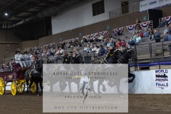 Untitled-0228-4