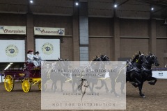 Untitled-0237-4
