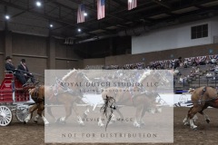 Untitled-0242-4