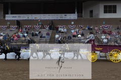 Untitled-0254-3