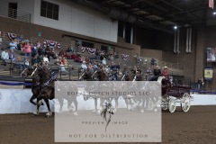 Untitled-0263-3
