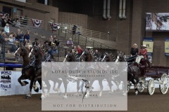 Untitled-0264-3