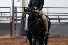 Firefly_Open-the-eyes-on-the-rider-848425