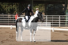 HCWE-Sept-Sun-Dressage-0002-3