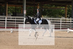 HCWE-Sept-Sun-Dressage-0004-3