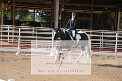HCWE-Sept-Sun-Dressage-0005-3