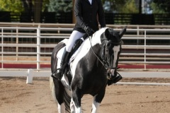 HCWE-Sept-Sun-Dressage-0006-3
