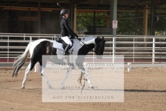 HCWE-Sept-Sun-Dressage-0007-3