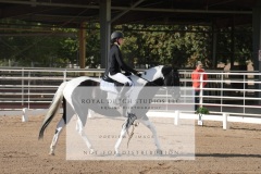 HCWE-Sept-Sun-Dressage-0008-3