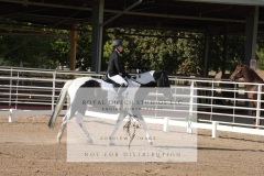 HCWE-Sept-Sun-Dressage-0011-3