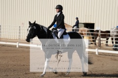 HCWE-Sept-Sun-Dressage-0012-3