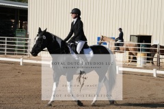 HCWE-Sept-Sun-Dressage-0013-3