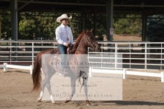 HCWE-Sept-Sun-Dressage-0017-3