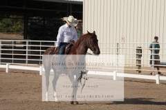 HCWE-Sept-Sun-Dressage-0018-3