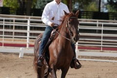 HCWE-Sept-Sun-Dressage-0020-3