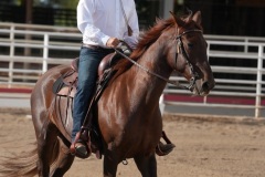 HCWE-Sept-Sun-Dressage-0021-3