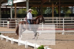 HCWE-Sept-Sun-Dressage-0022-3
