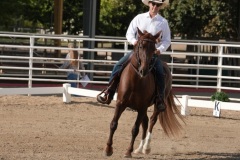 HCWE-Sept-Sun-Dressage-0027-3