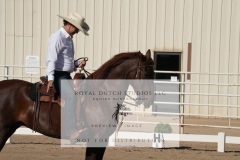 HCWE-Sept-Sun-Dressage-0029-3
