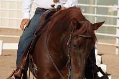 HCWE-Sept-Sun-Dressage-0030-3